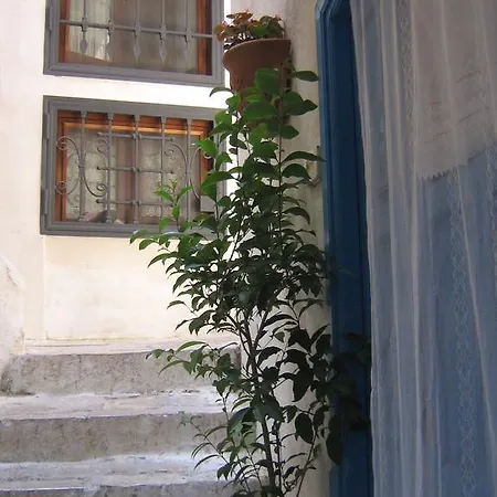Daire Il Bianco E Il Blu *